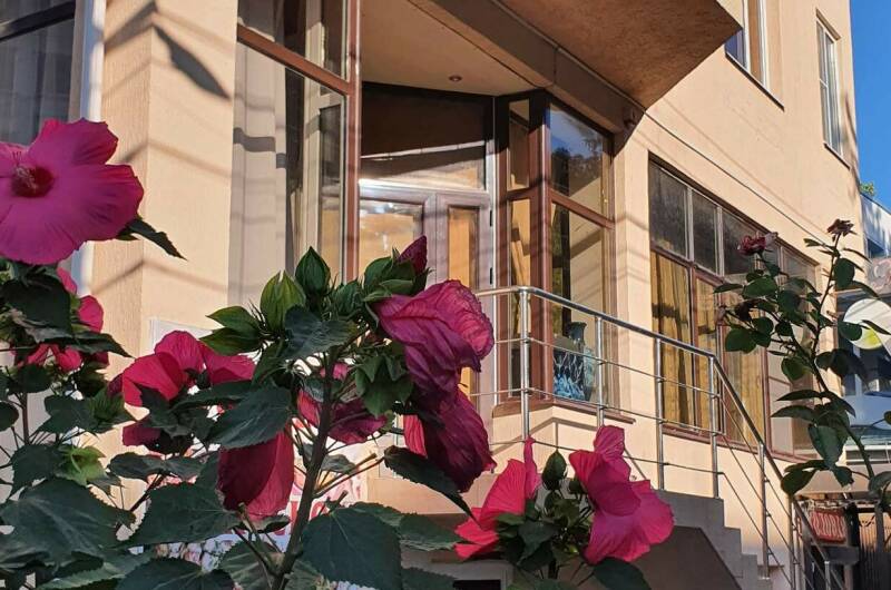 Изображение Изображение гостиницы &quot;Гостевой дом «ВиЖен»&quot; #1 #1