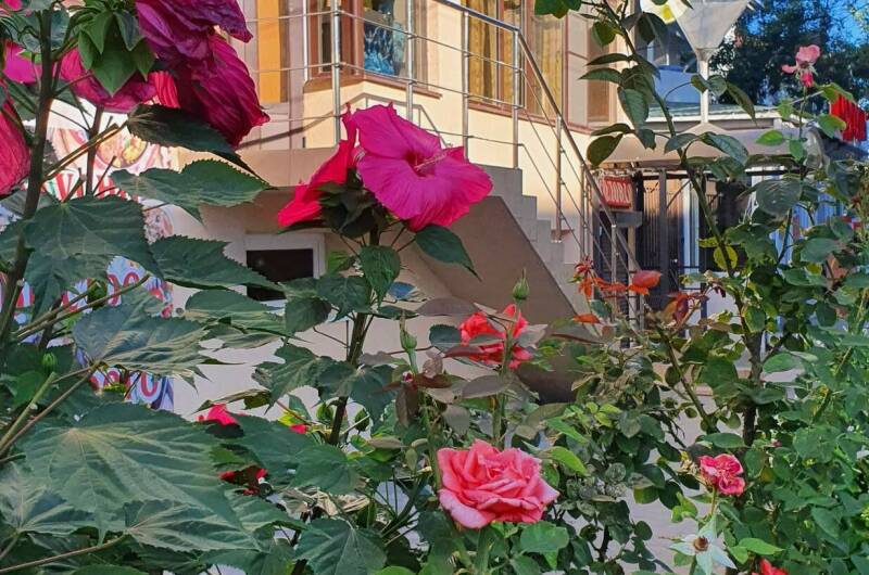 Изображение Изображение гостиницы &quot;Гостевой дом «ВиЖен»&quot; #6 #6