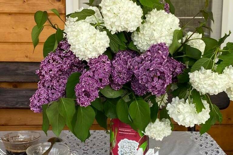 Изображение Изображение квартиры &quot;Дом под ключ у моря на 4 человека&quot; #6 #6