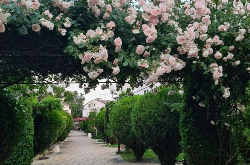 Изображение Изображение гостиницы &quot;Гостевой дом на Пионерском&quot; #2 #2