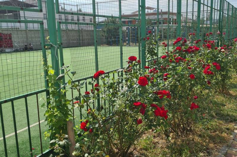 Изображение Изображение квартиры &quot;Апартаменты ЖК «Кавказ»&quot; #7 #7