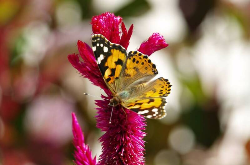 Изображение Изображение гостиницы &quot;Гостевой дом «Эпоха»&quot; #8 #8