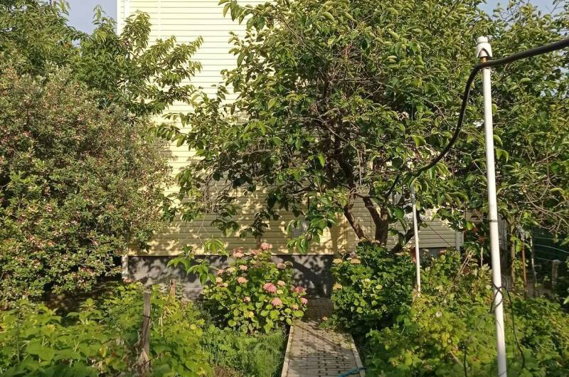 Изображение Изображение гостиницы &quot;Гостевой дом «Любушка»&quot; #3 #3