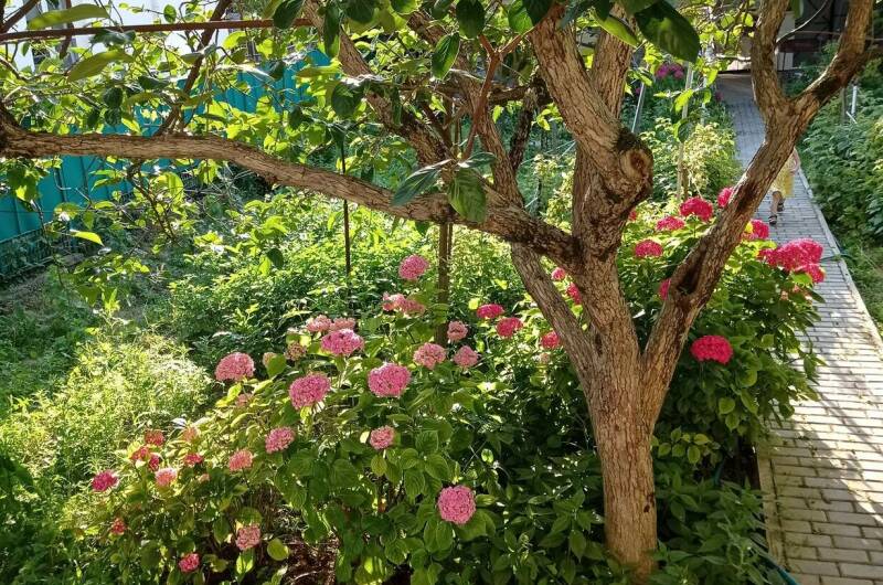 Изображение Изображение гостиницы &quot;Гостевой дом «Любушка»&quot; #4 #4