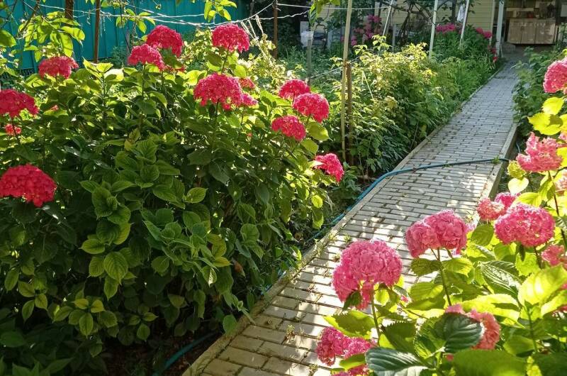 Изображение Изображение гостиницы &quot;Гостевой дом «Любушка»&quot; #5 #5