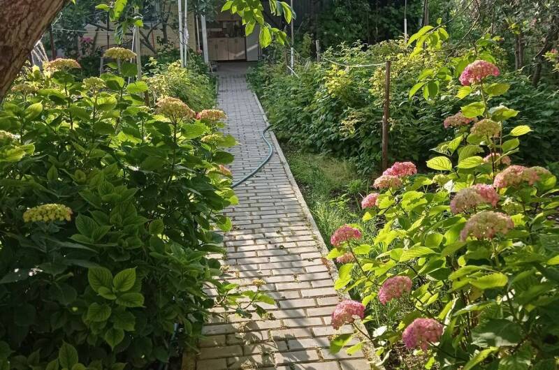 Изображение Изображение гостиницы &quot;Гостевой дом «Любушка»&quot; #7 #7