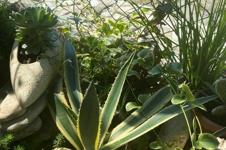 Изображение Изображение гостиницы &quot;Частный дом «Тихое местечко»&quot; #6 #6