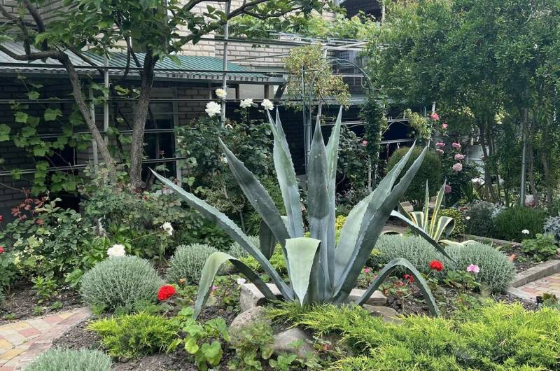 Изображение Изображение отеля / гостиницы "Гостевой дом на Вильямса" #11 #9