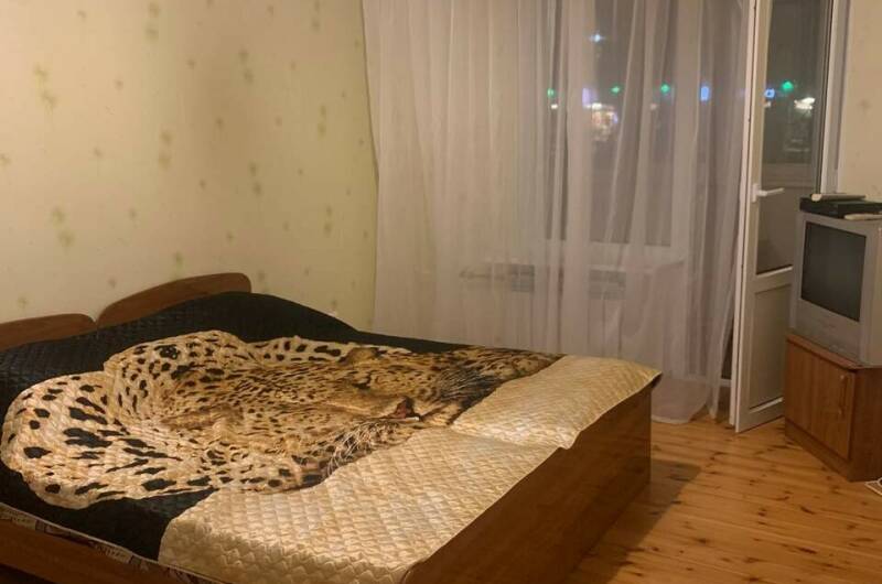 Изображение Изображение квартиры &quot;Трехкомнатные апартаменты&quot; #1 #1