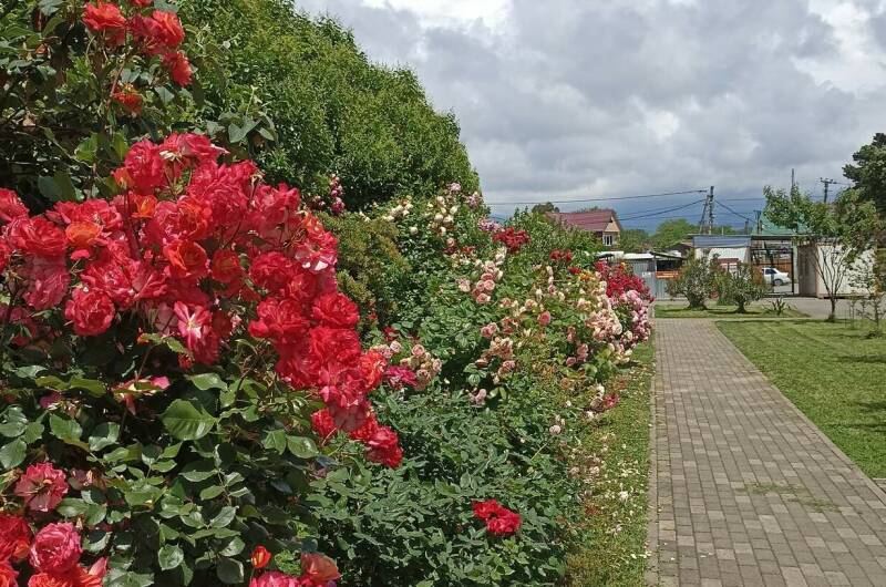 Изображение Изображение квартиры "Трёхкомнатная квартира в Сириусе" #7 #7