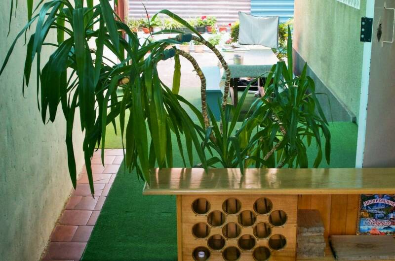 Изображение Изображение гостиницы &quot;Гостевой дом «ОКТАВА»&quot; #8 #8