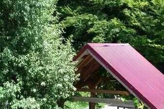 Изображение Изображение гостиницы &quot;Гостевой дом «LiSa»&quot; #8 #8