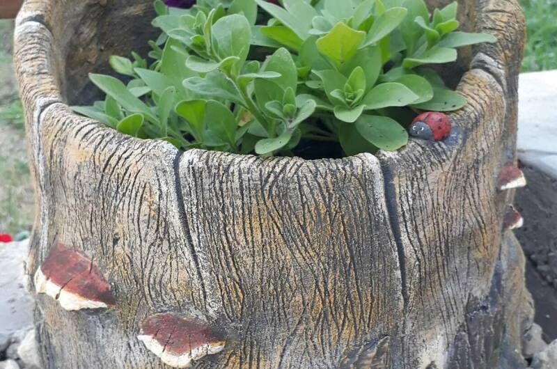 Изображение Изображение квартиры &quot;Домик под ключ «У Элени»&quot; #8 #8