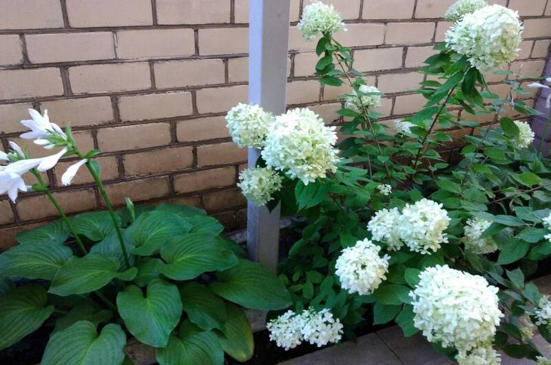 Изображение Изображение гостиницы &quot;Гостевой дом «Радужный»&quot; #5 #5