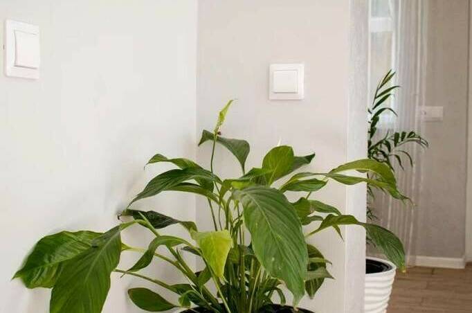 Изображение Изображение квартиры &quot;Дом под ключ «Маленькая Греция»&quot; #6 #6