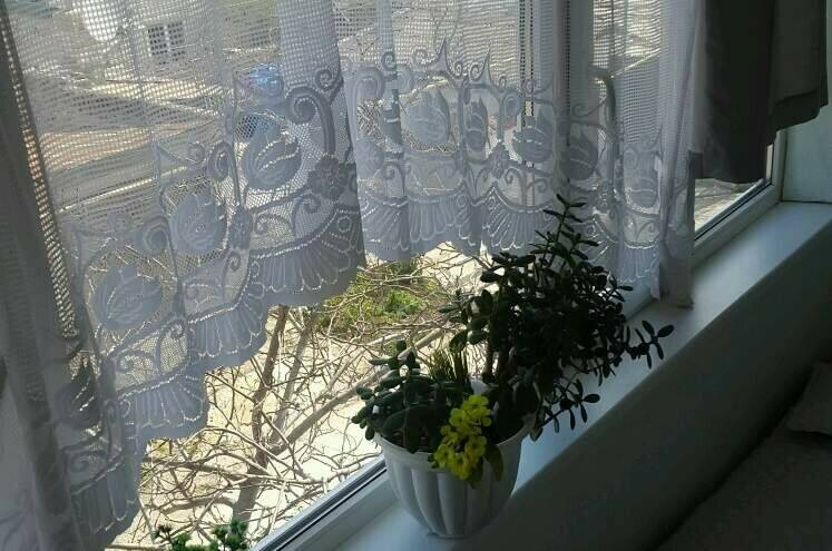 Изображение Изображение квартиры &quot;Трёхкомнатный дом под ключ&quot; #8 #8