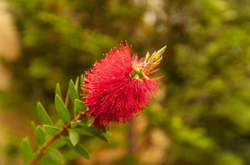 Изображение Изображение гостиницы "Гостевой дом «Аист и Капуста»" #2 #2