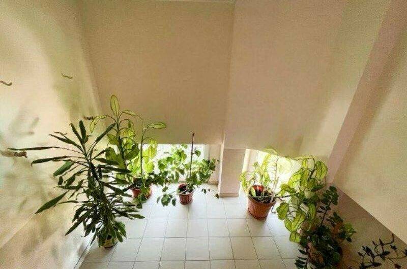 Изображение Изображение гостиницы &quot;Гостевой дом «Мирный»&quot; #3 #3