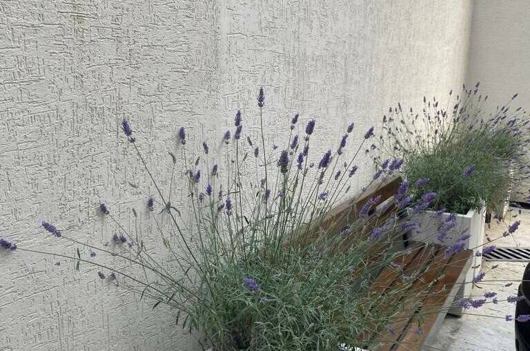 Изображение Изображение квартиры "Уютная студия" #6 #6