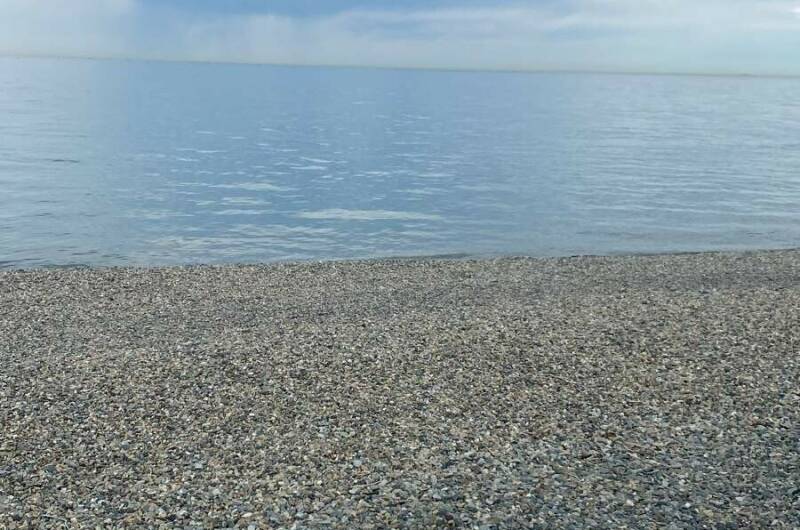 Изображение Изображение квартиры "Уютная студия" #7 #7