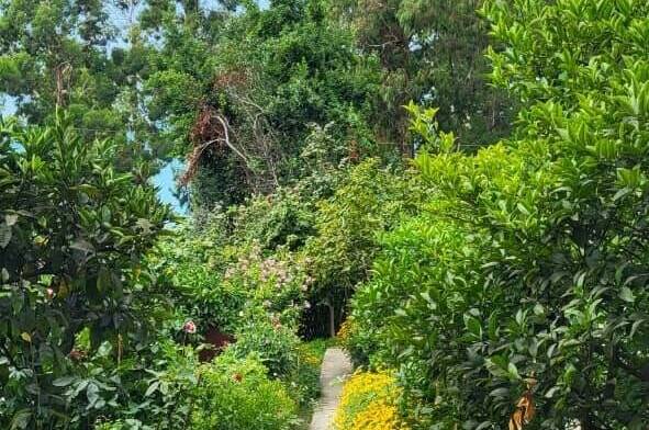 Изображение Изображение гостиницы &quot;Частный сектор «Цветущий рай»&quot; #2 #2