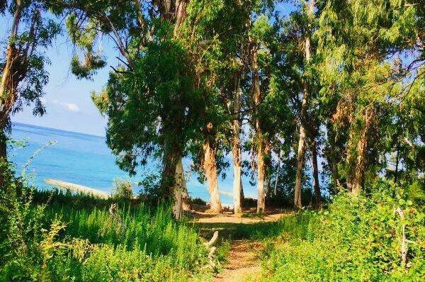 Изображение Изображение гостиницы &quot;Частный сектор «Цветущий рай»&quot; #6 #6