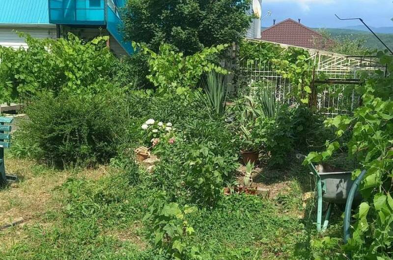 Изображение Изображение гостиницы &quot;Гостевой дом «Солнечный ветер»&quot; #3 #3