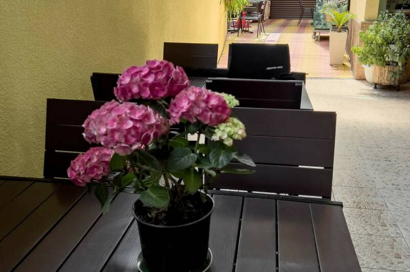 Изображение Изображение гостиницы "Гостевой дом «Взлетный»" #2 #2