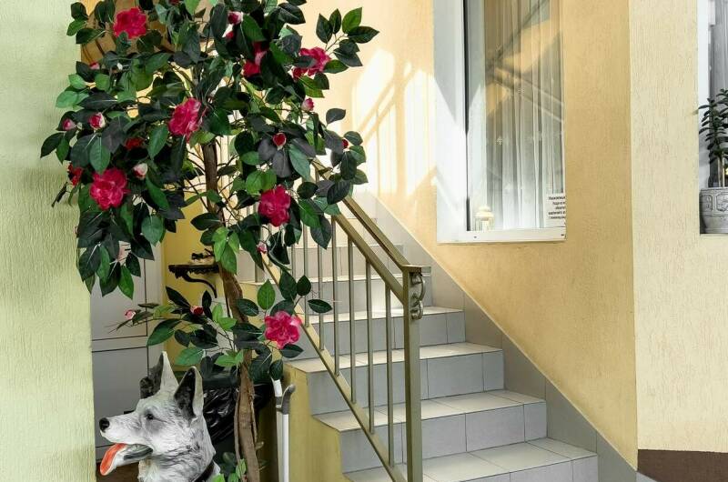 Изображение Изображение гостиницы "Гостевой дом «Взлетный»" #3 #3