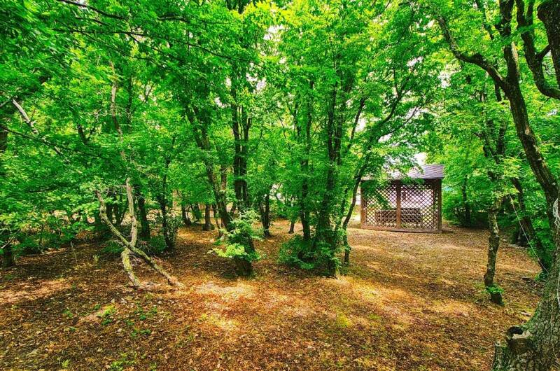 Изображение Изображение гостиницы &quot;База отдыха «Можжевеловая роща»&quot; #7 #7