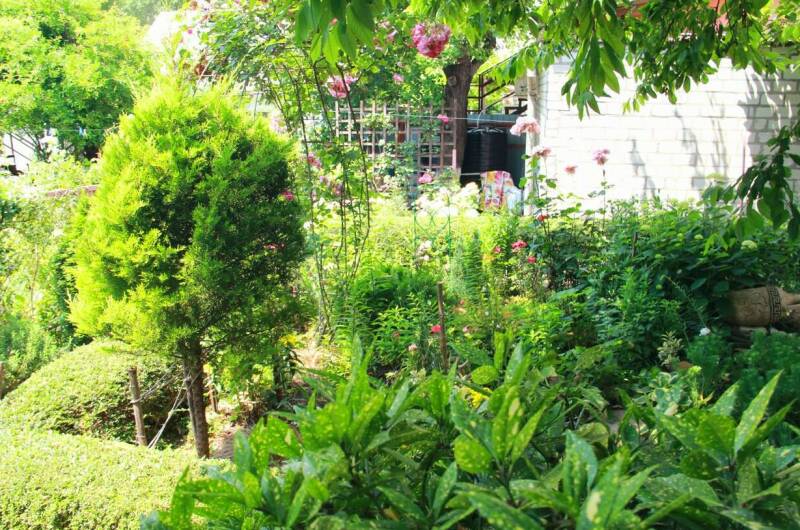 Изображение Изображение гостиницы &quot;Гостевой дом «Отдых у Галины»&quot; #4 #4