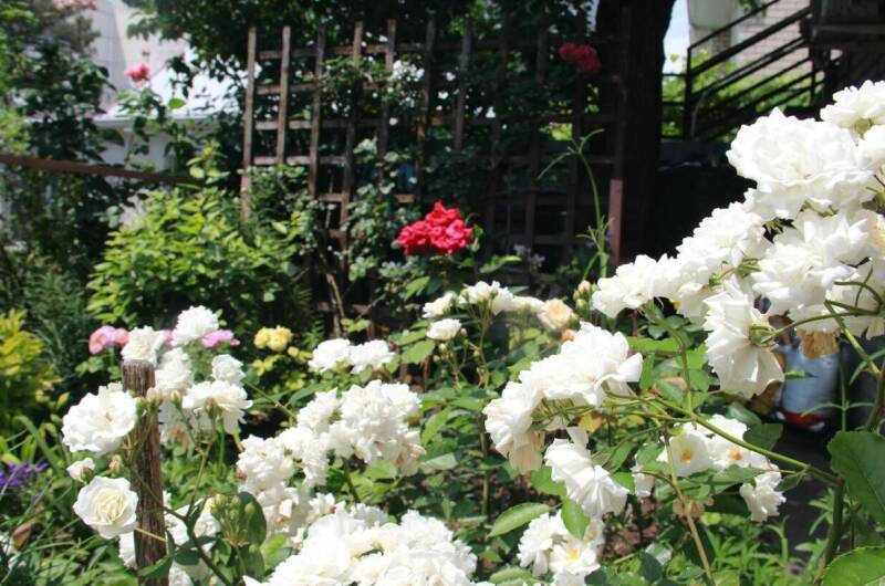 Изображение Изображение отеля / гостиницы "Гостевой дом «Отдых у Галины»" #10 #8