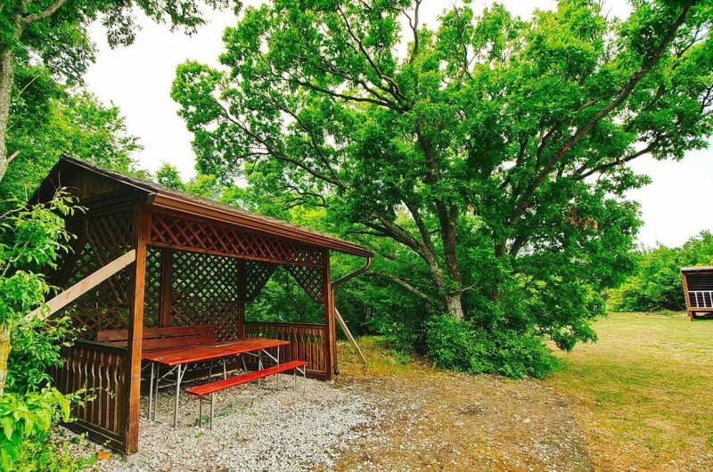 Изображение Изображение отеля / гостиницы "База отдыха «Можжевеловая роща»" #10 #8