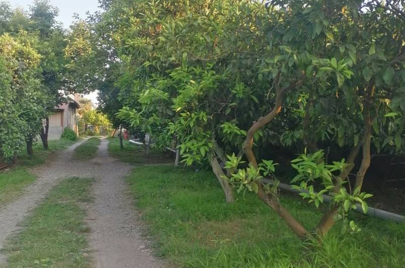 Изображение Изображение гостиницы &quot;Гостевой дом «De Sofía»&quot; #5 #5