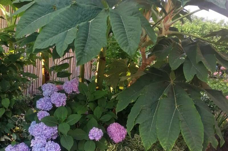 Изображение Изображение гостиницы &quot;Гостевой дом «De Sofía»&quot; #7 #7