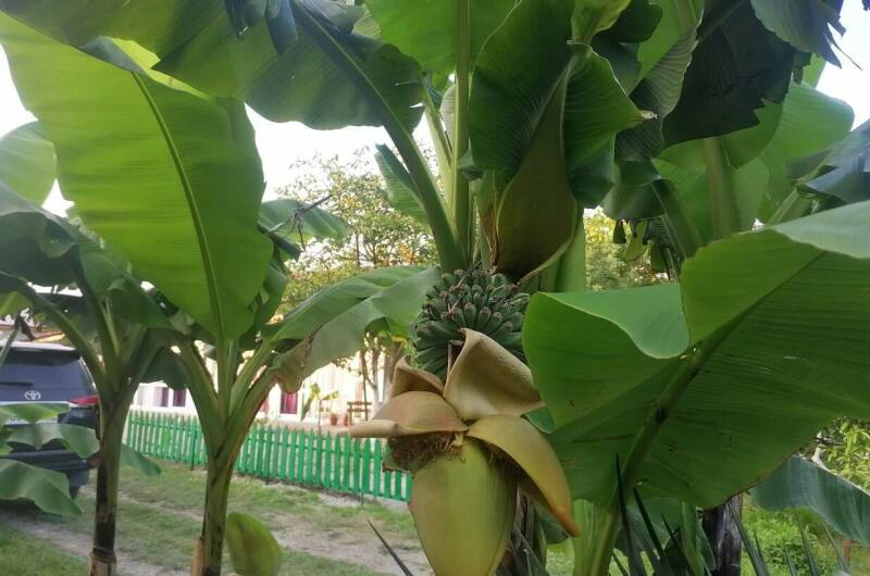 Изображение Изображение отеля / гостиницы "Гостевой дом «De Sofía»" #10 #8