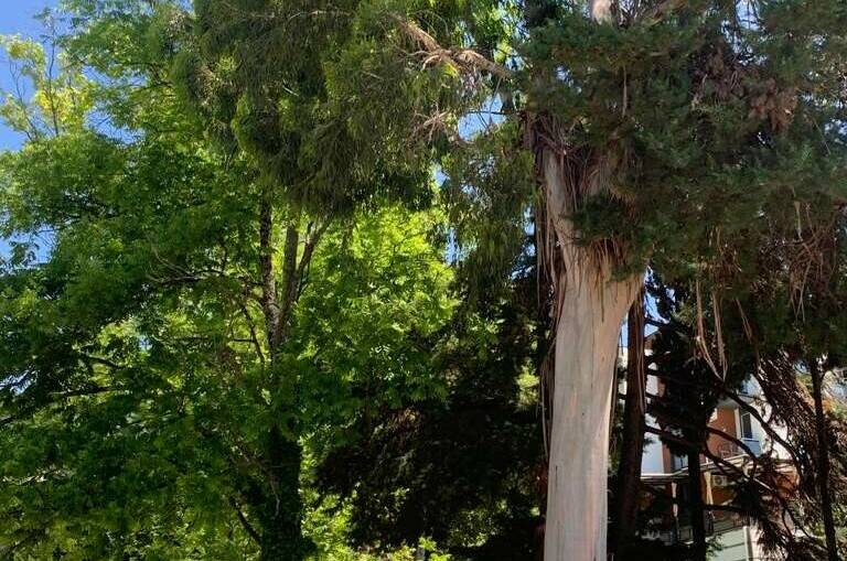 Изображение Изображение квартиры / апартамента "Квартира в ЖК «Касабланка»" #11 #9