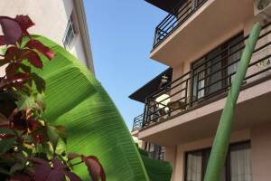 Изображение отеля / гостиницы "Гостевой дом «Брауни»"