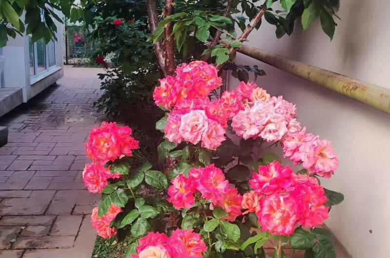 Изображение Изображение квартиры &quot;Двухкомнатная квартира&quot; #8 #8