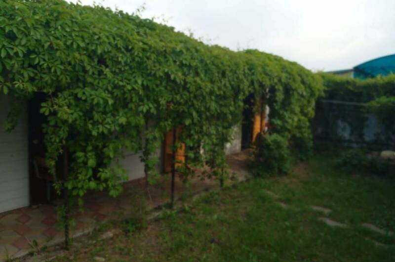 Изображение Изображение гостиницы &quot;База отдыха на Кубанской&quot; #8 #8