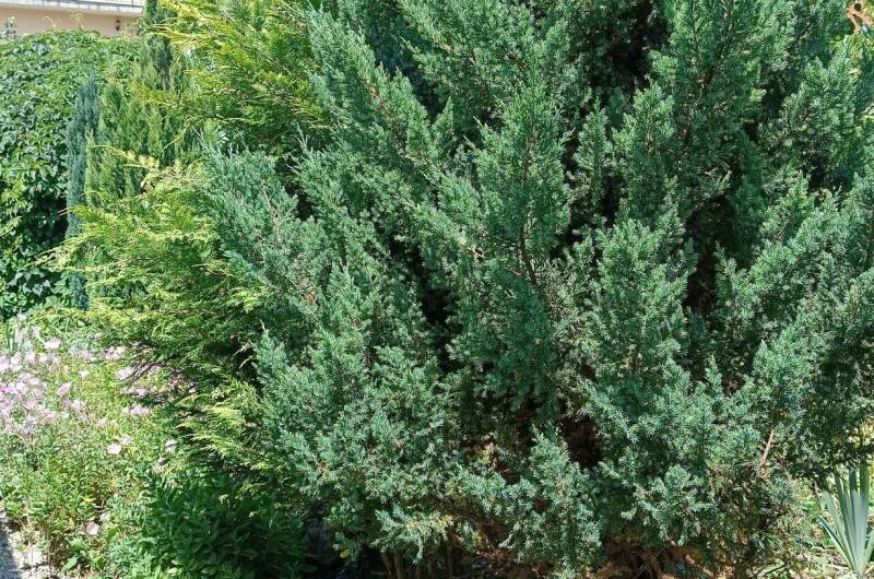 Изображение Изображение отеля / гостиницы "Частный сектор «У АрсиКа»" #10 #8