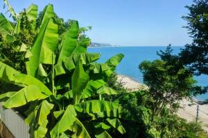 Изображение отеля / гостиницы "Частный сектор «Сирень»"