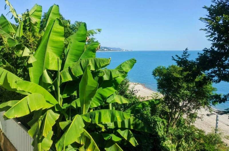 Изображение Изображение гостиницы &quot;Частный сектор «Сирень»&quot; #1 #1