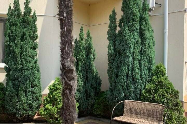 Изображение Изображение гостиницы "Гостиница «Лотос»" #2 #2