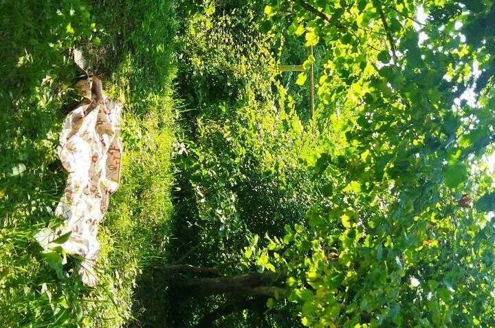 Изображение Изображение квартиры &quot;Студия в частном доме&quot; #2 #2