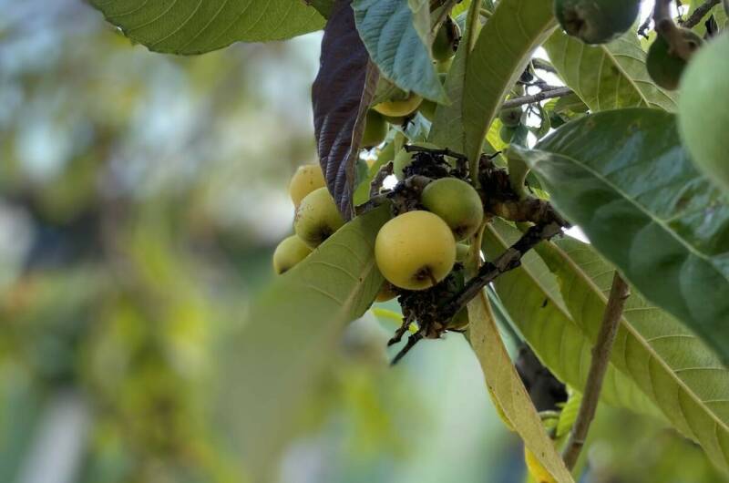 Изображение Изображение квартиры "Коттедж «Green Dacha»" #2 #2