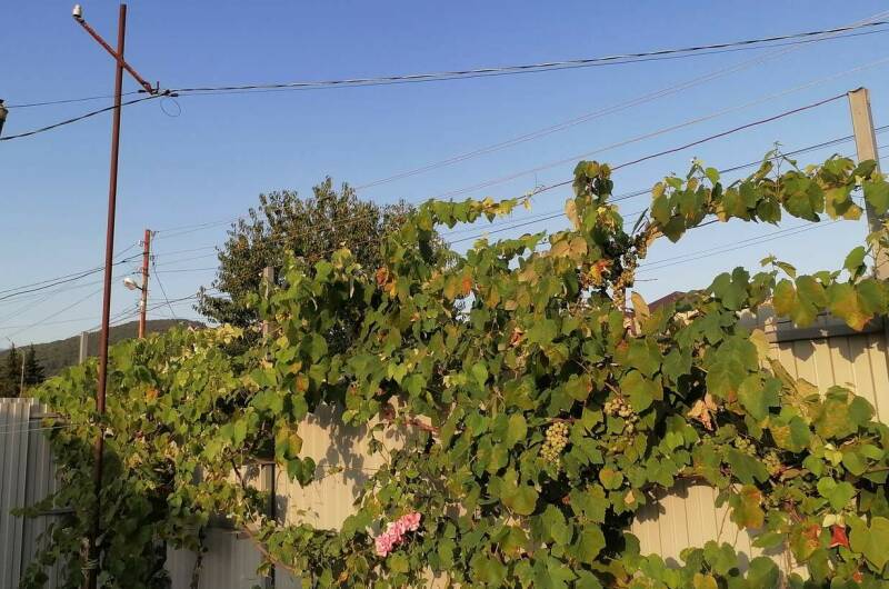 Изображение Изображение гостиницы &quot;Гостевой дом «Teremok»&quot; #6 #6