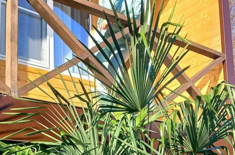 Изображение Изображение отеля / гостиницы "Домики под ключ у моря" #11 #9