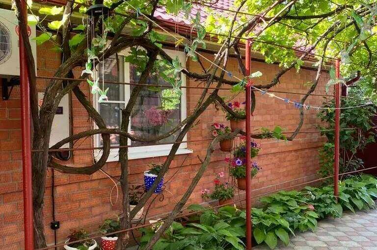 Изображение Изображение отеля / гостиницы "Гостевой дом «У берега Азовского моря»" #10 #8