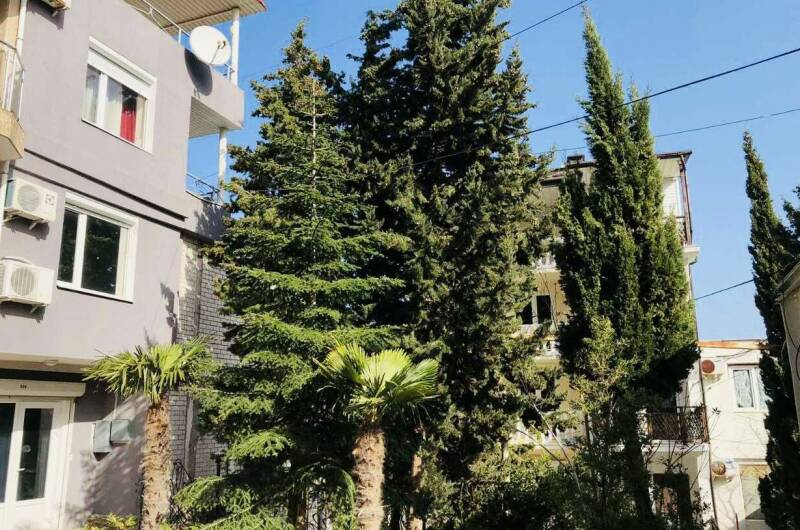 Изображение Изображение гостиницы &quot;Гостевой дом «Лилия»&quot; #8 #8